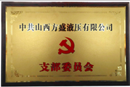13-山西省先進基層黨組織.jpg